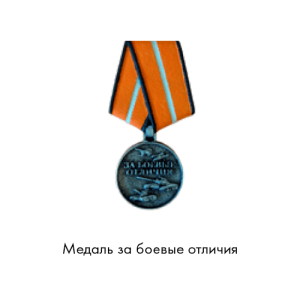 Медаль за боевые отличия